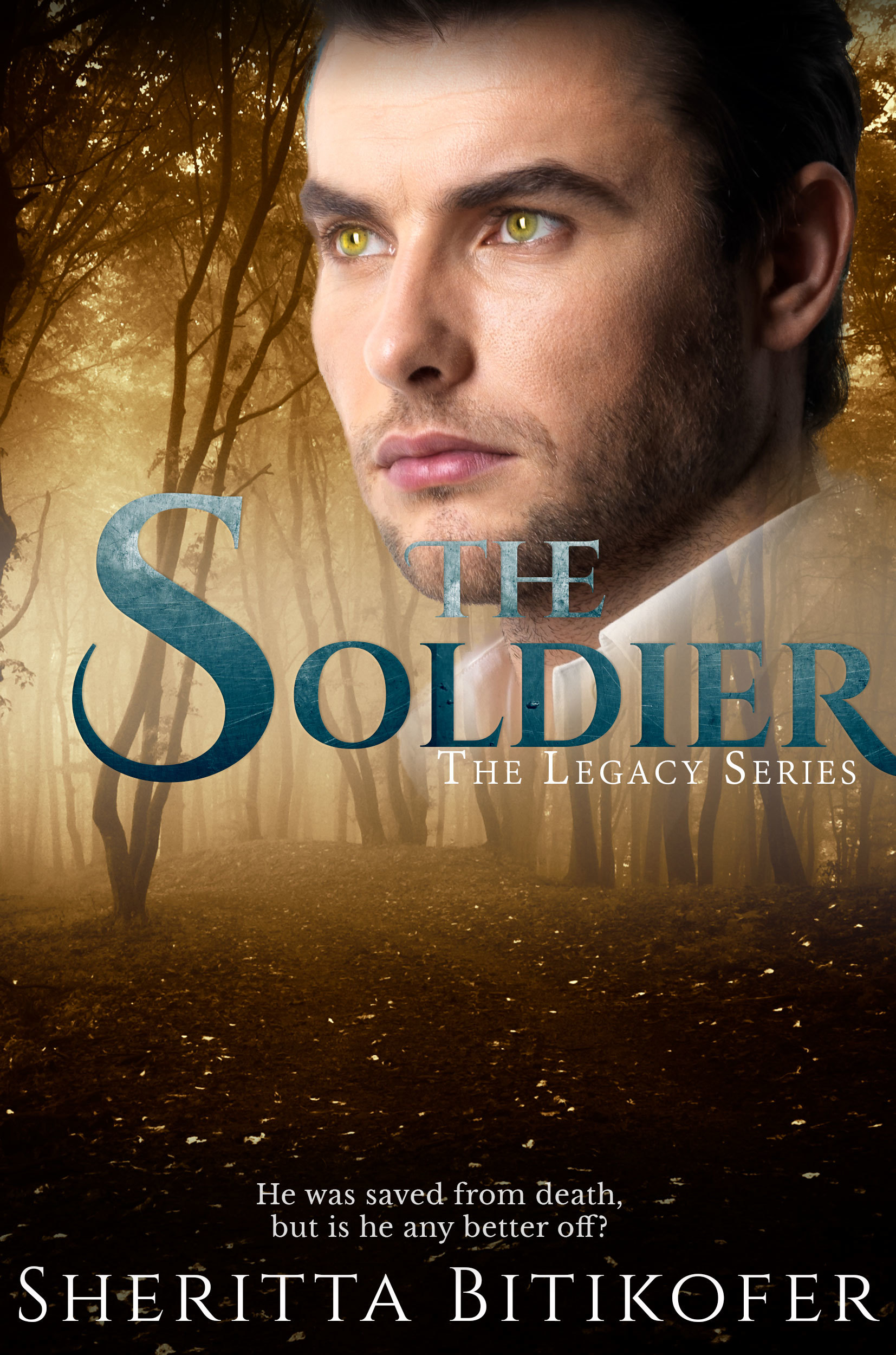 The Soldier book cover