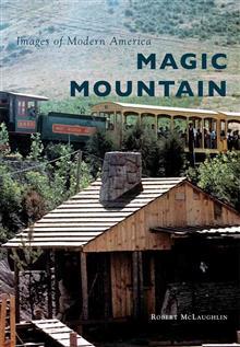 Magic Mountain book cover