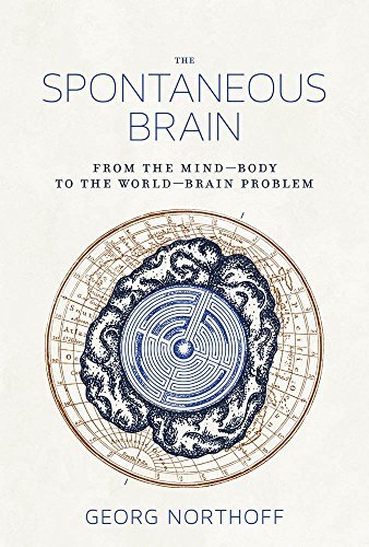 The Spontaneous Brain book cover