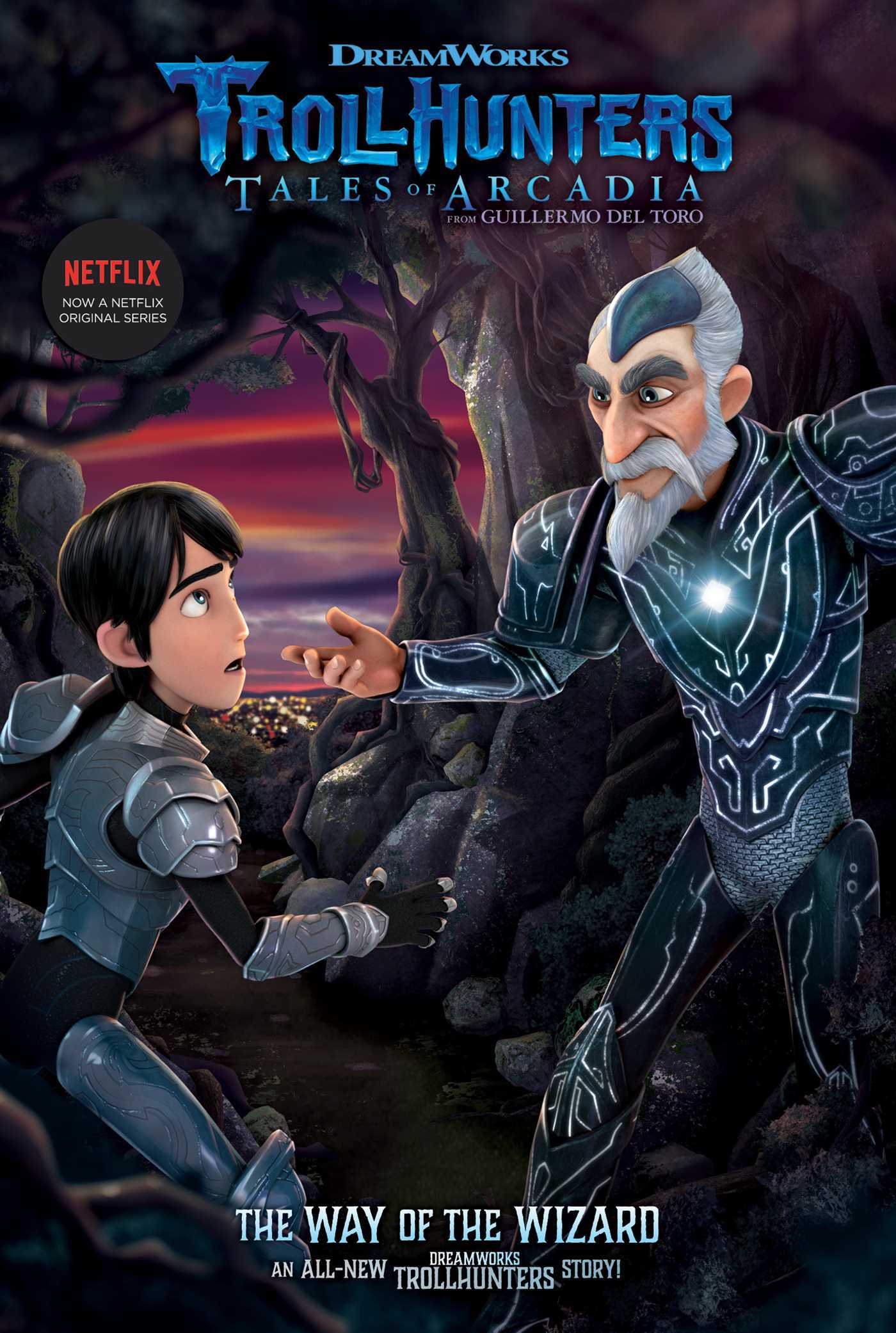 The Way of the Wizard (5) book cover