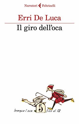 Il giro dell'oca book cover