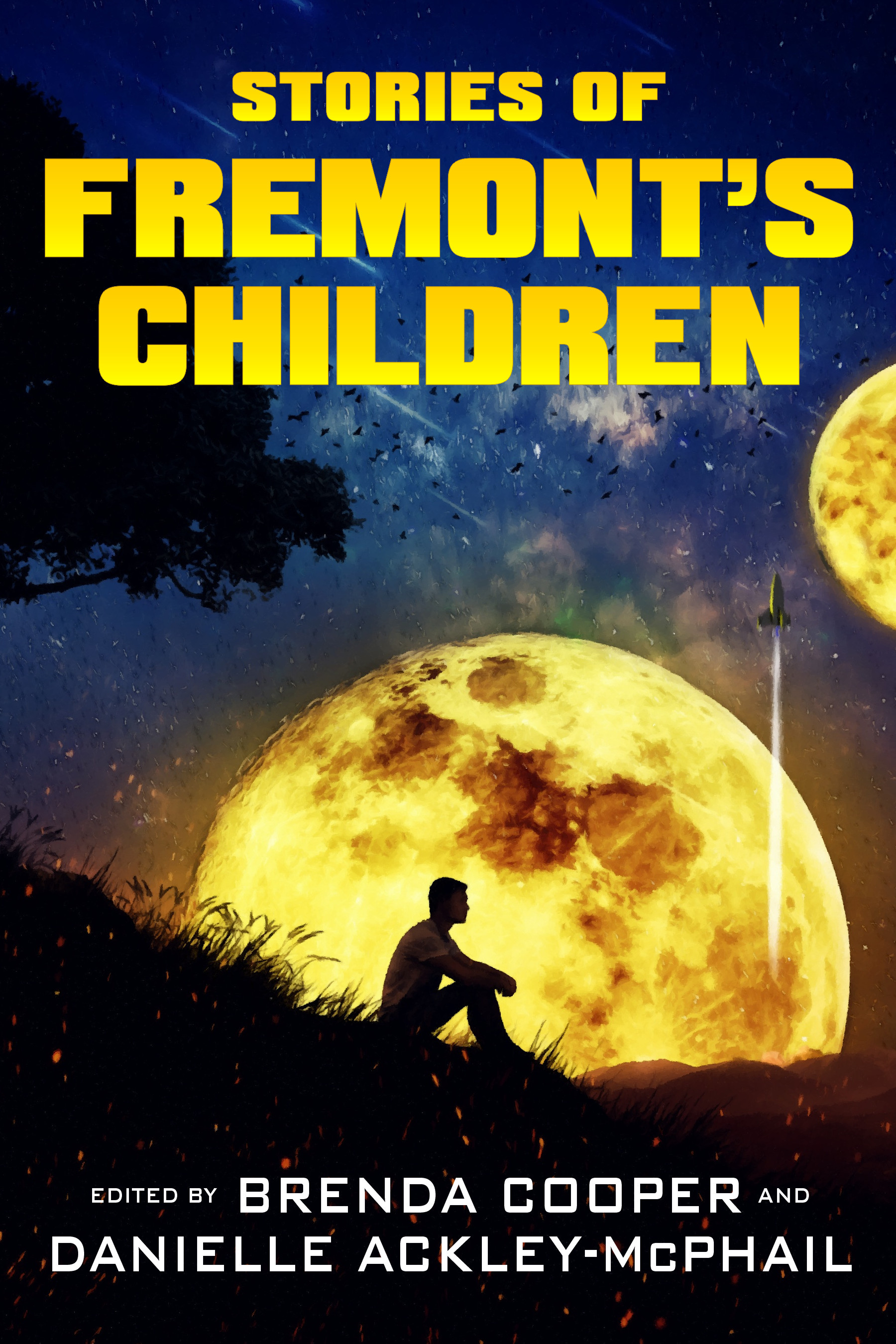 Stories of Fremont's Children book cover