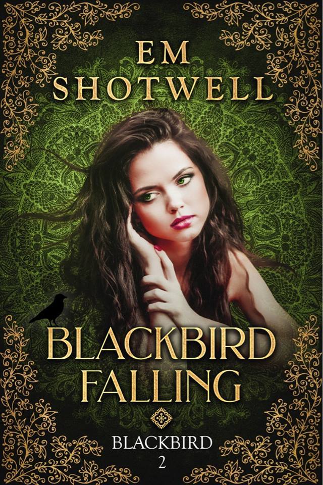 Blackbird Falling book cover