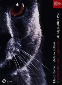 Il rumore del cuore. Il gatto nero book cover