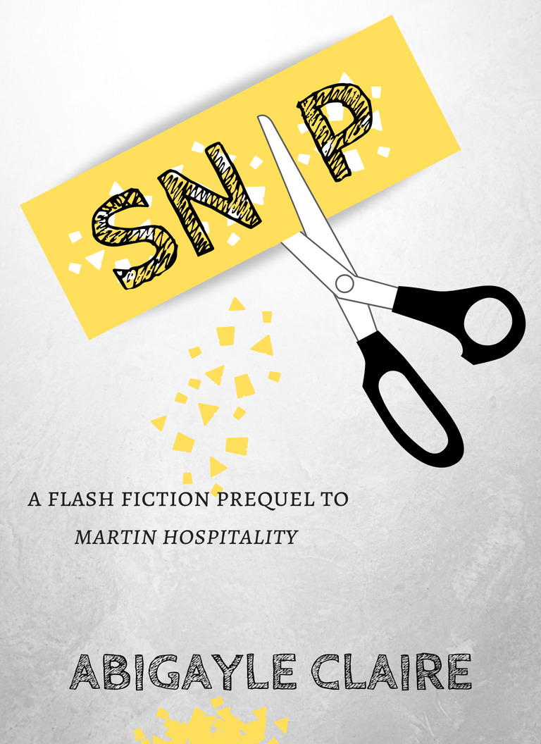 Snip book cover
