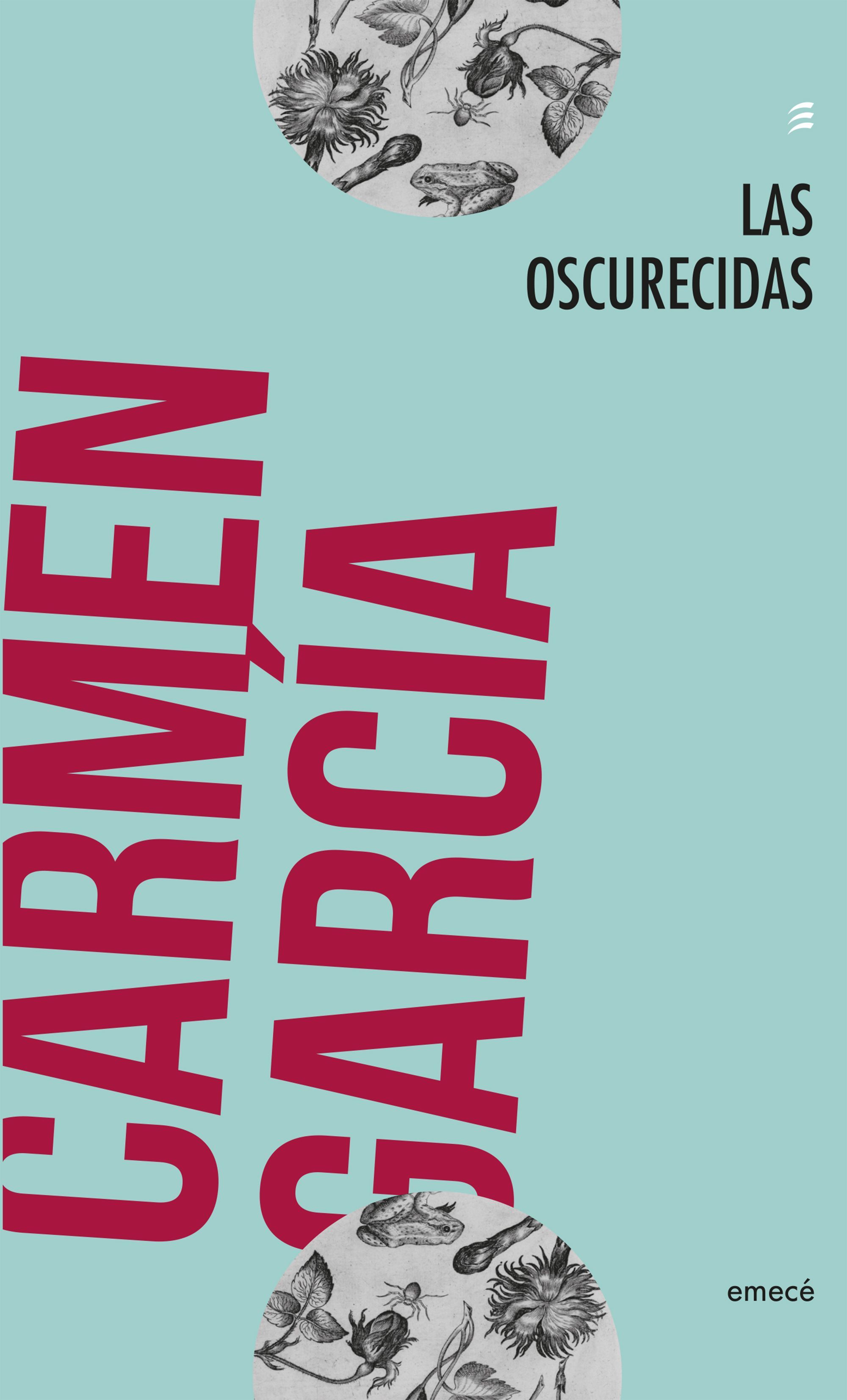 En femenino book cover 1
