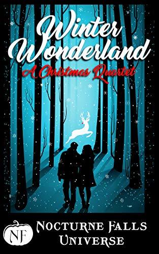 Winter Wonderland book cover