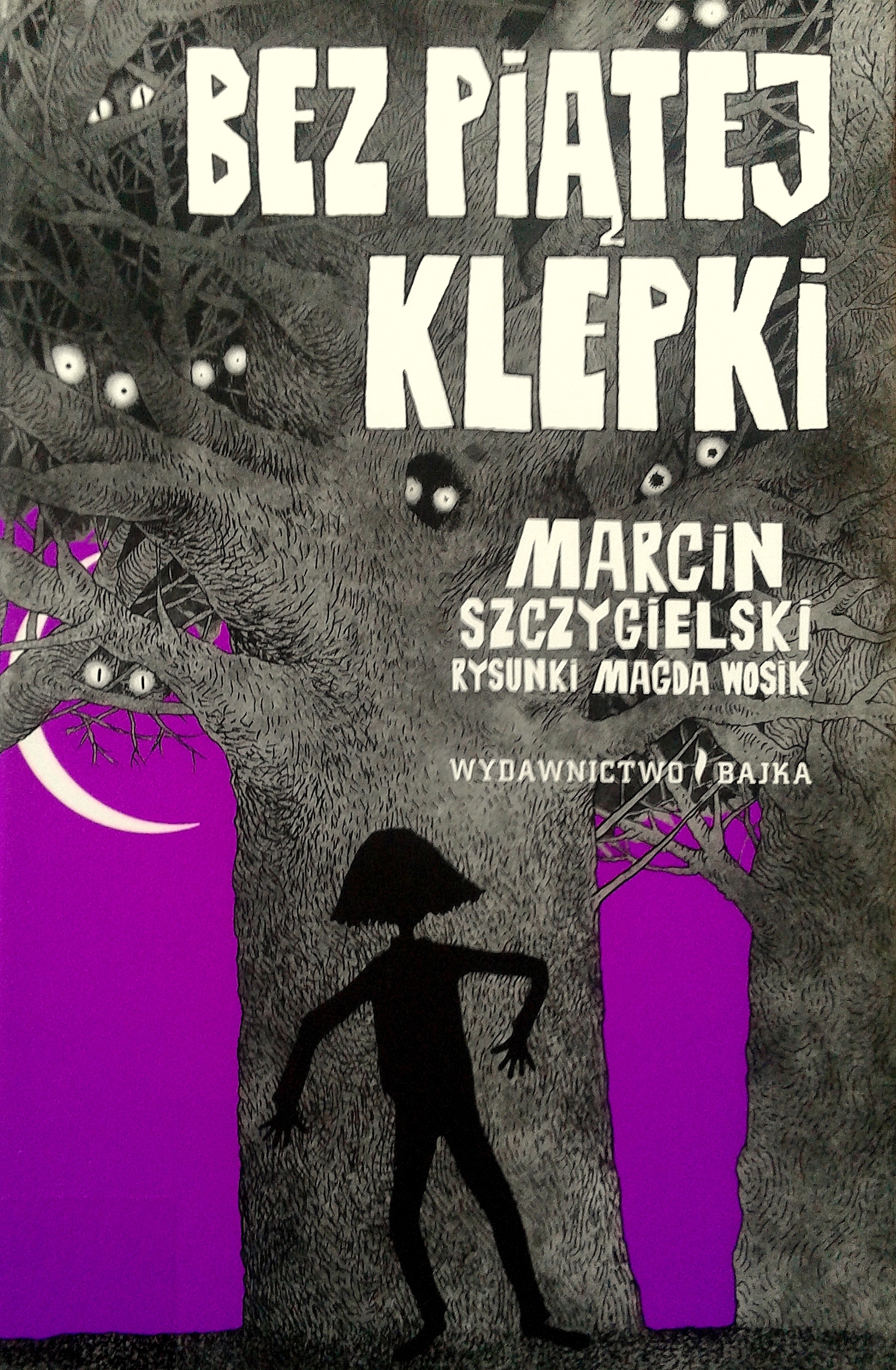 Bez piątej klepki book cover