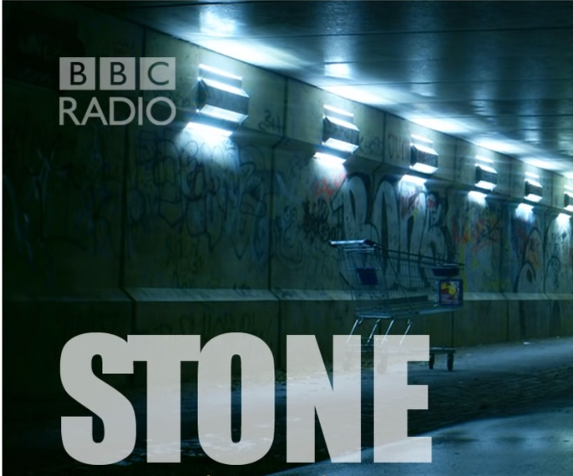 Dci Stone Mary Shane By Danny Brocklehurst Goodreads