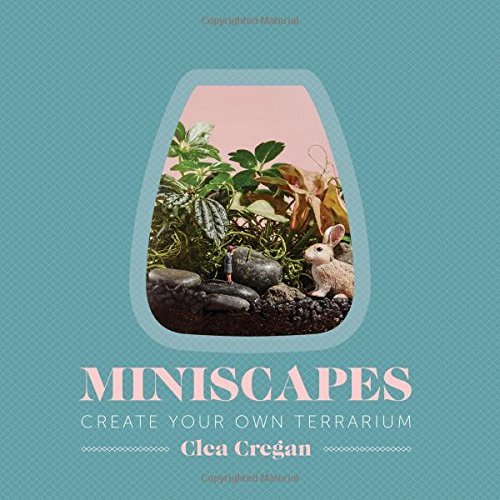 Miniscapes: Create Your Own Terrarium