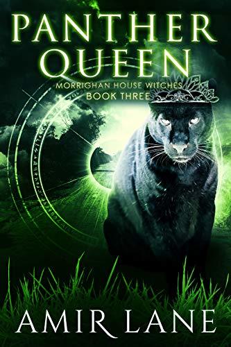 Panther Queen book cover