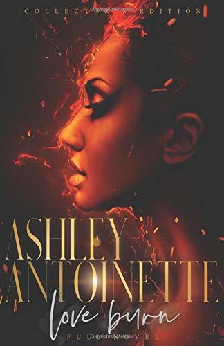 Love Burn book cover