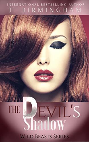 The Devil's Shadow book cover