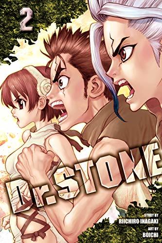 Dr. Stone book cover 2