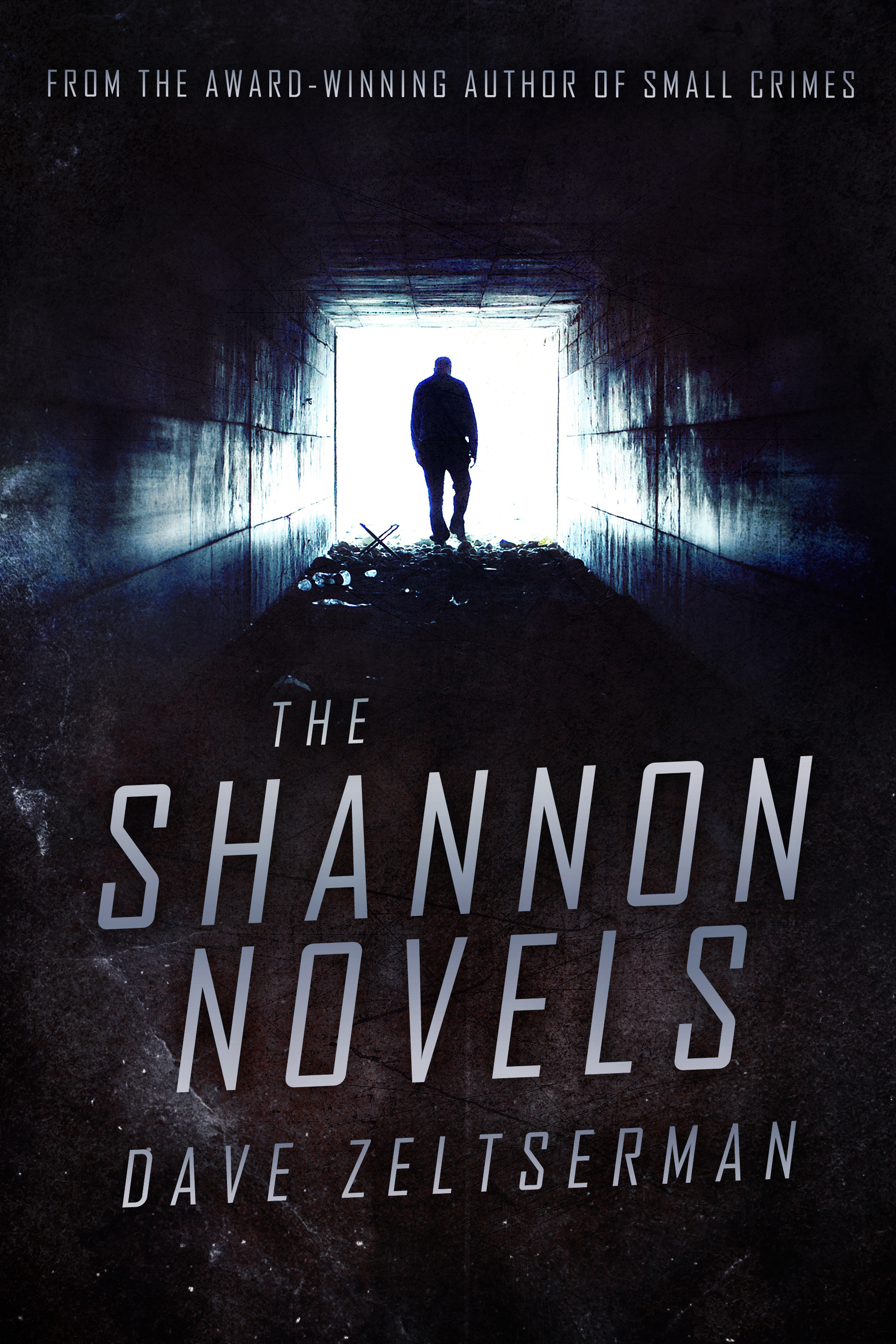The Shannon Novels book cover