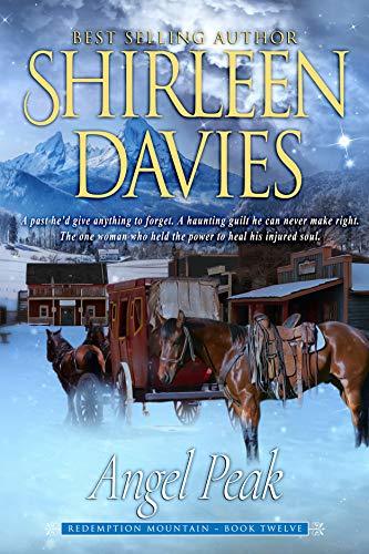 Angel Peak book cover