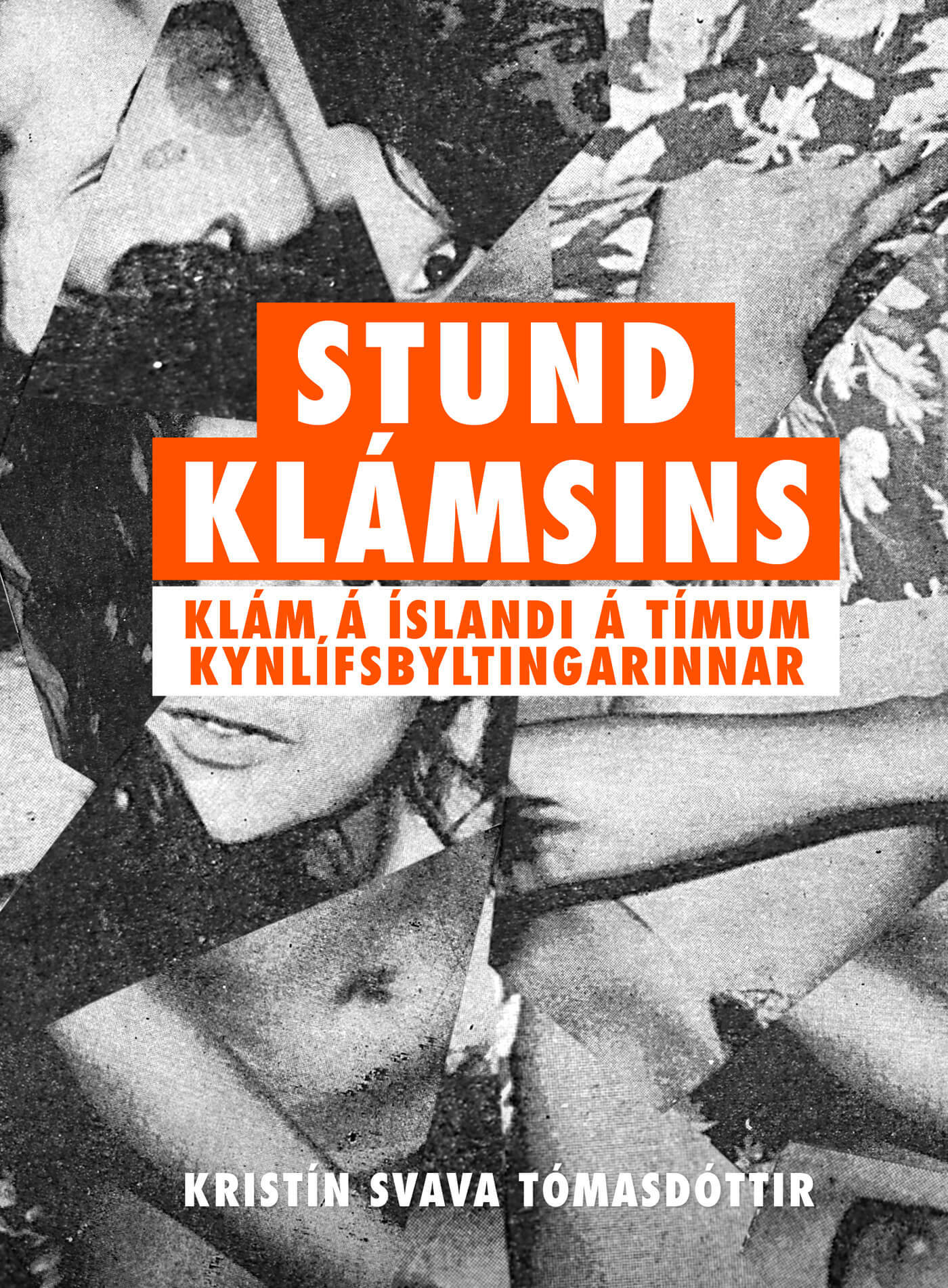 Stund klámsins : klám á Íslandi á tímum kynlífsbyltingarinnar