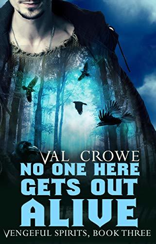 Vengeful Spirits book cover 3