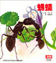 螞蟻 book cover