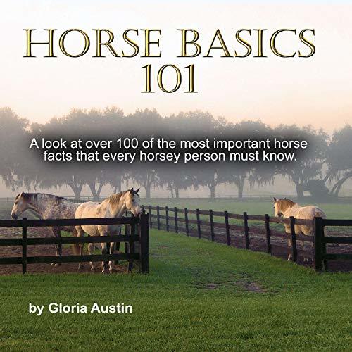 Horse Basics 101 A look at more than 101 of the most important horse