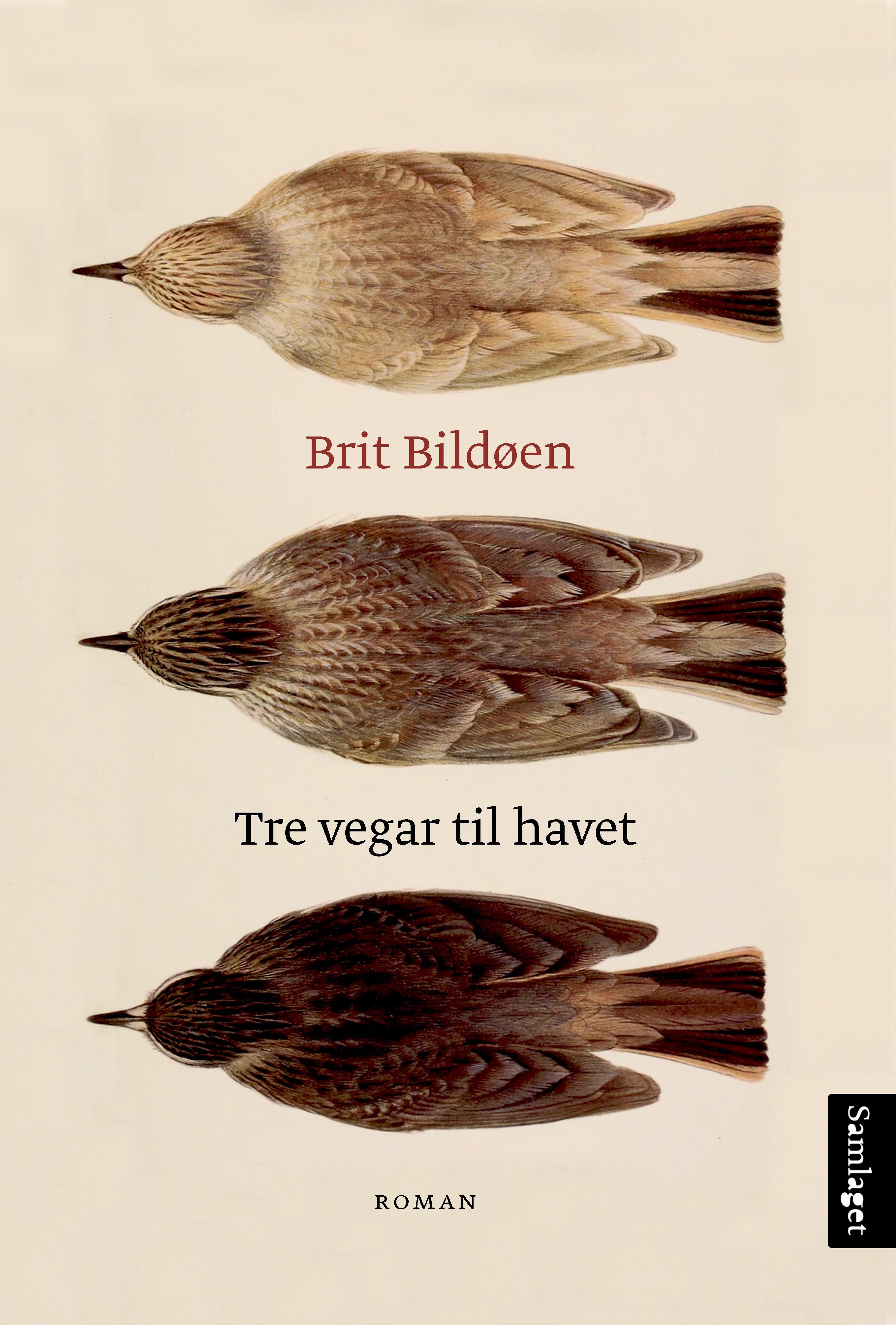 Tre vegar til havet book cover
