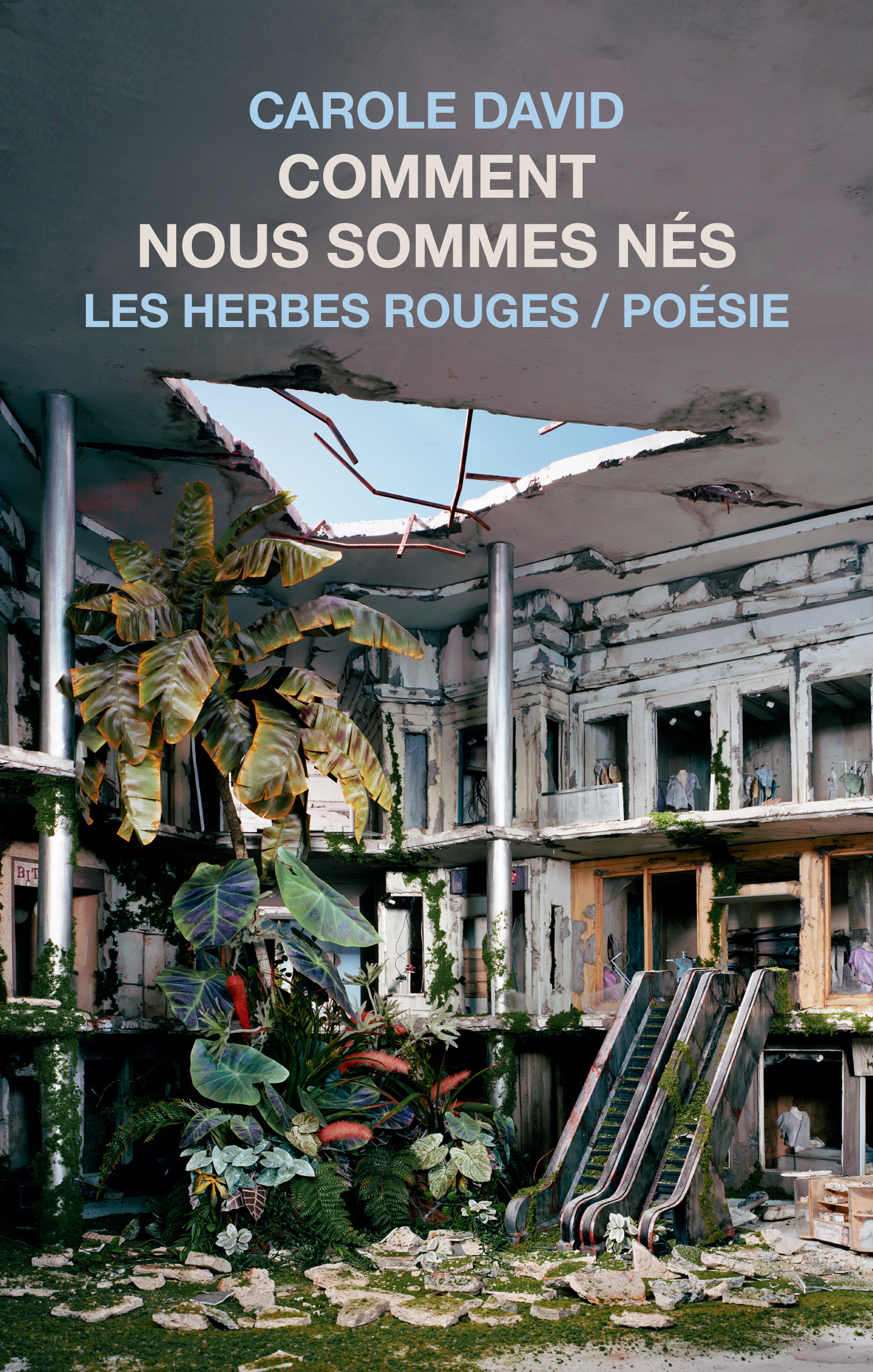 Comment nous sommes nés [How We Were Born] book cover