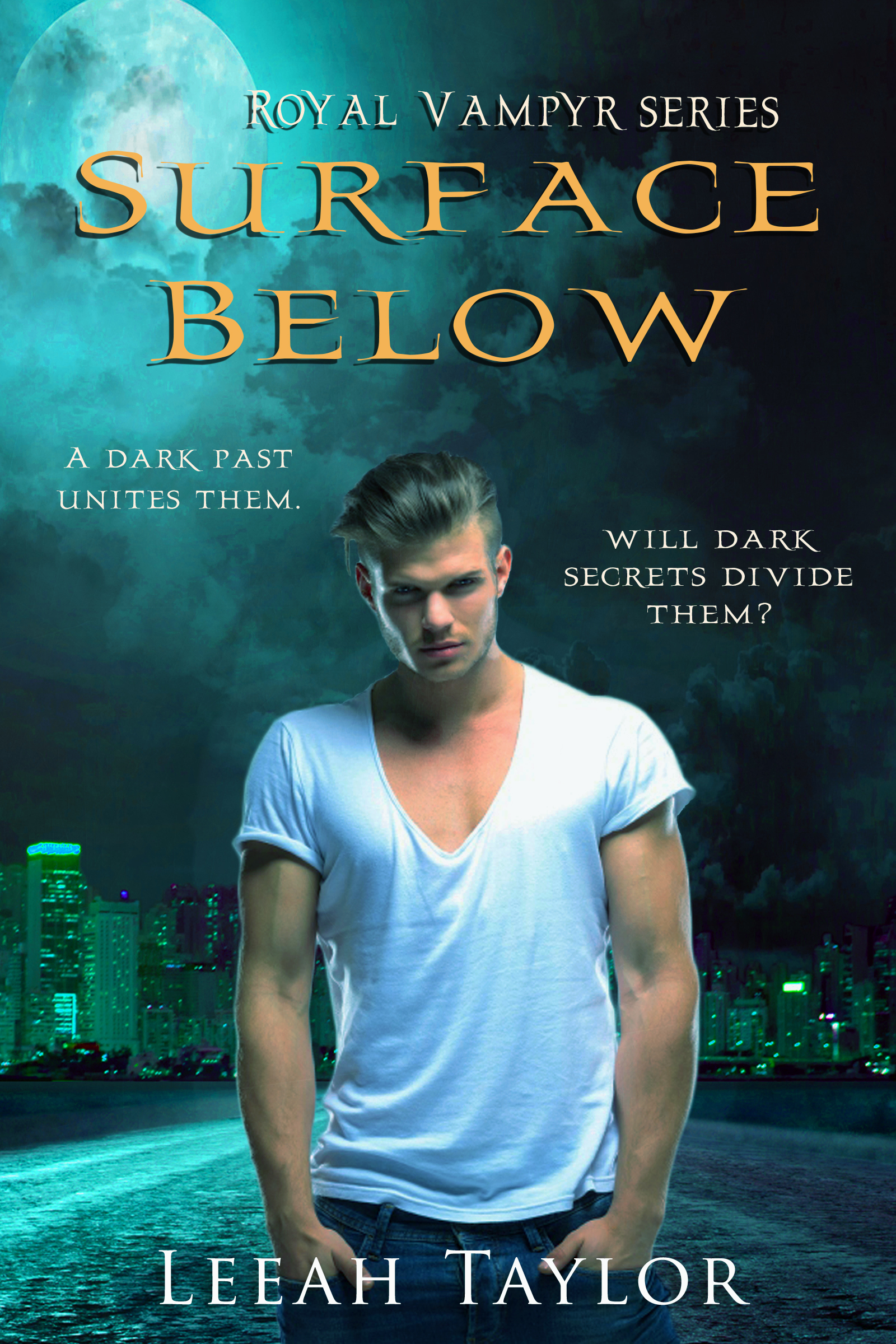 The Surface Below book cover 1