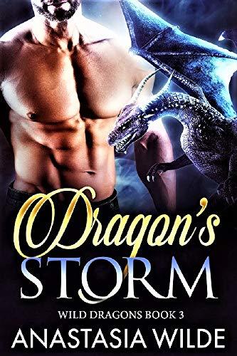 Dragon's Storm book cover
