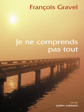 Je ne comprends pas tout book cover