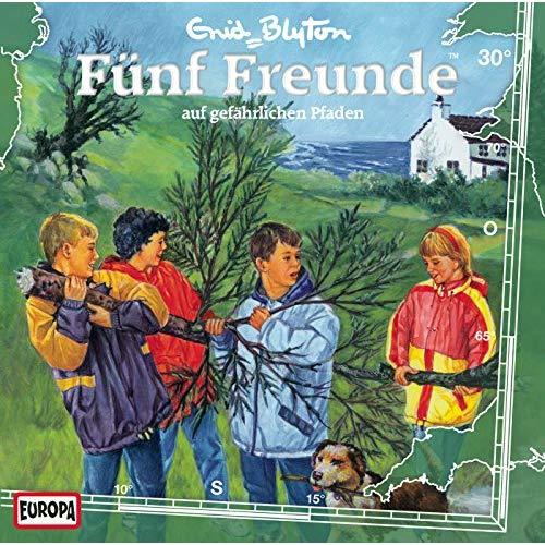 Fünf Freunde auf gefährlichen Pfaden book cover
