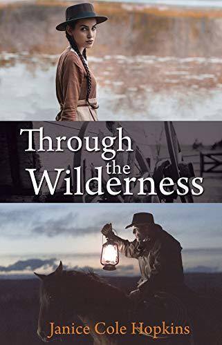 Through the Wilderness book cover