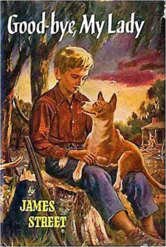 Good-Bye, My Lady book cover