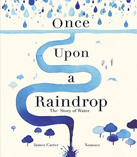 Once Upon A Raindrop book cover