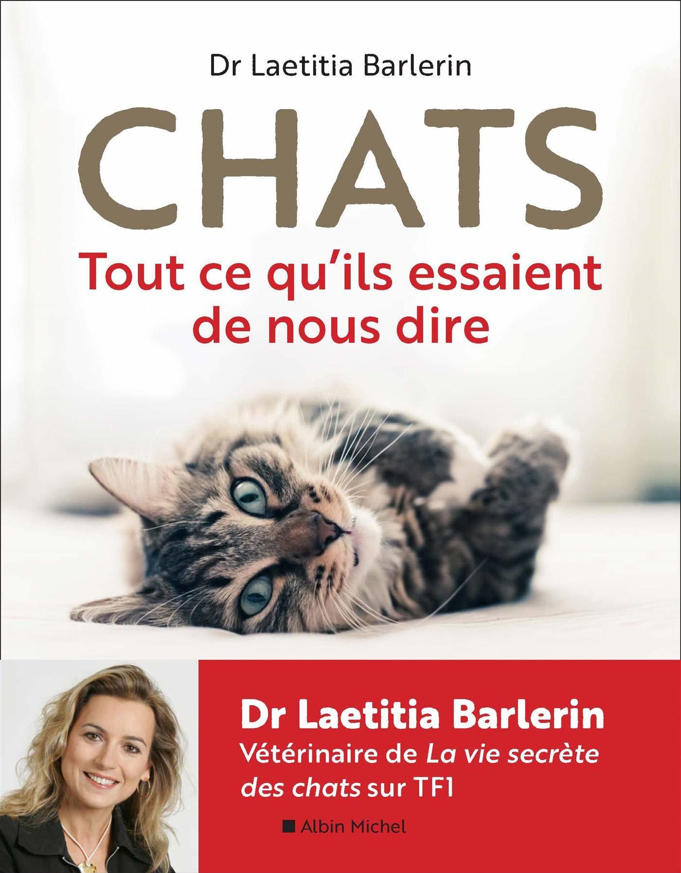 Chats : Tout ce qu'ils essaient de nous dire