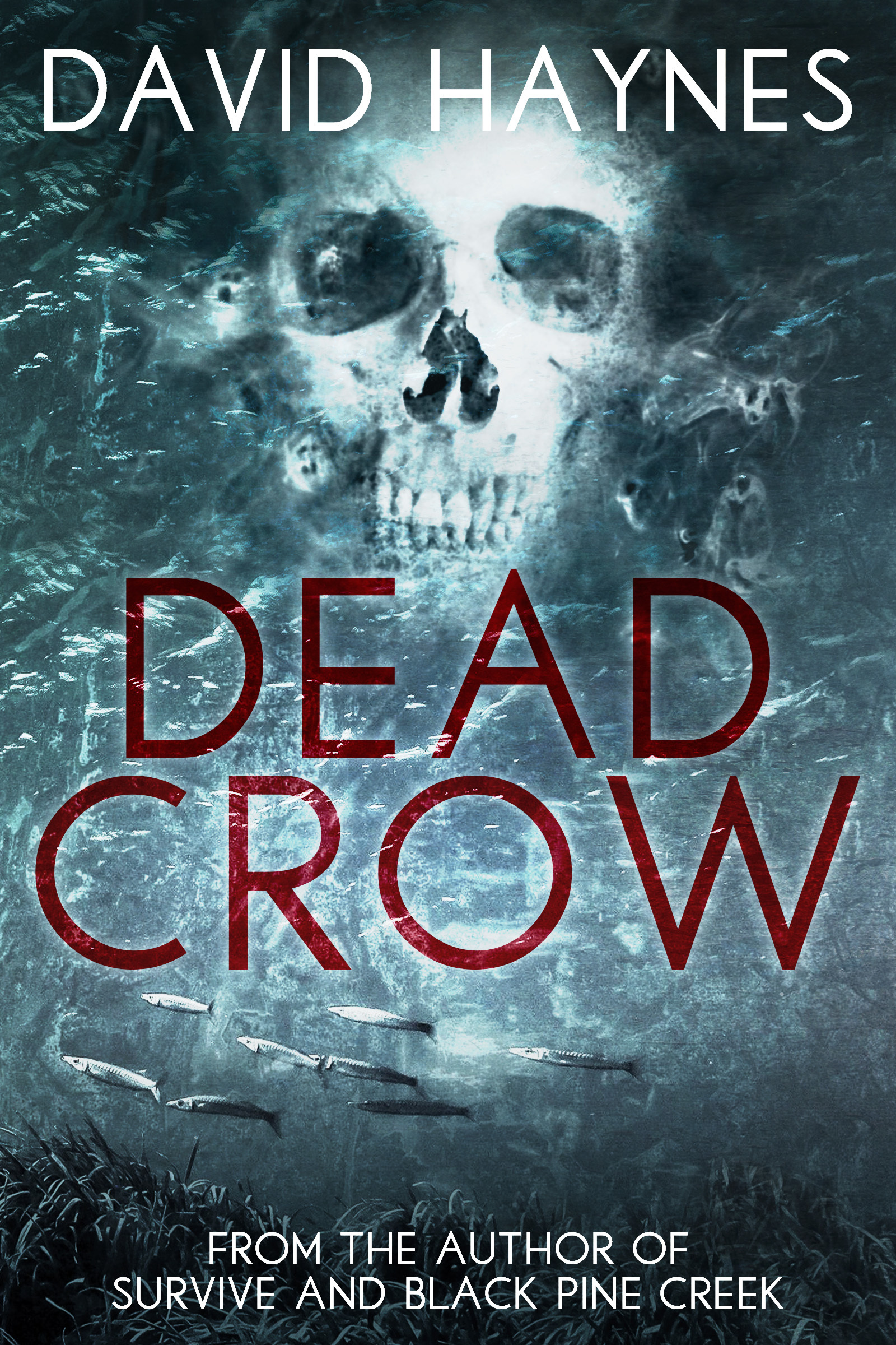 Dead Crow