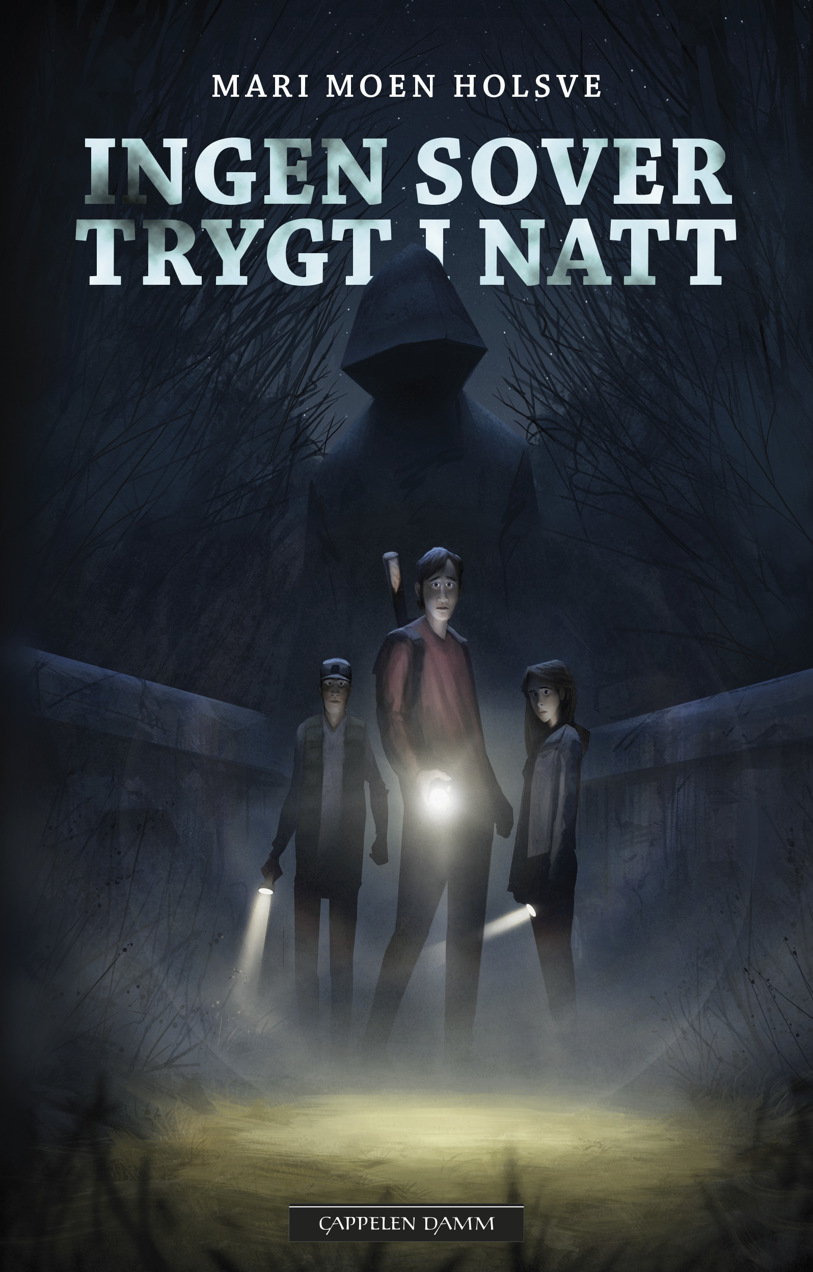 Skymdal book cover 1