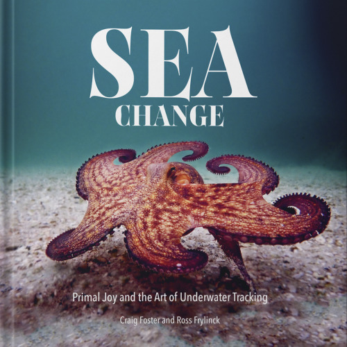 Sea Change