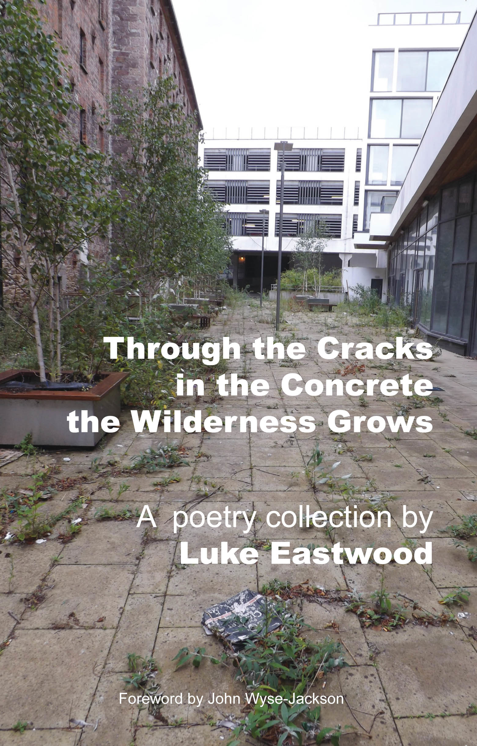 Through The Cracks In The Concrete The Wilderness Grows