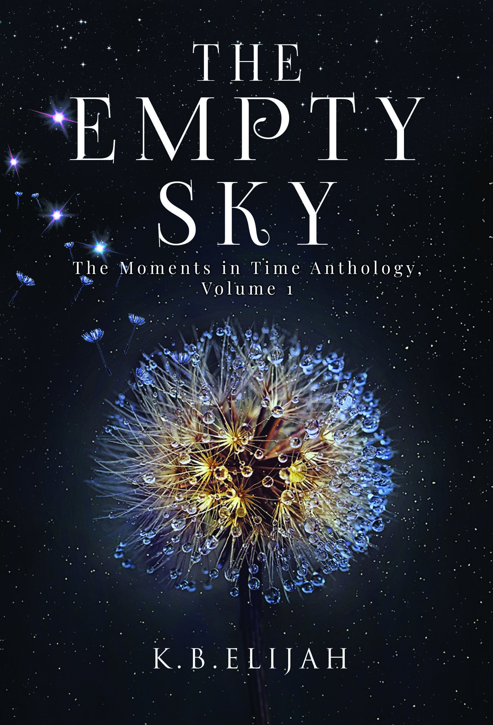 The Empty Sky book cover