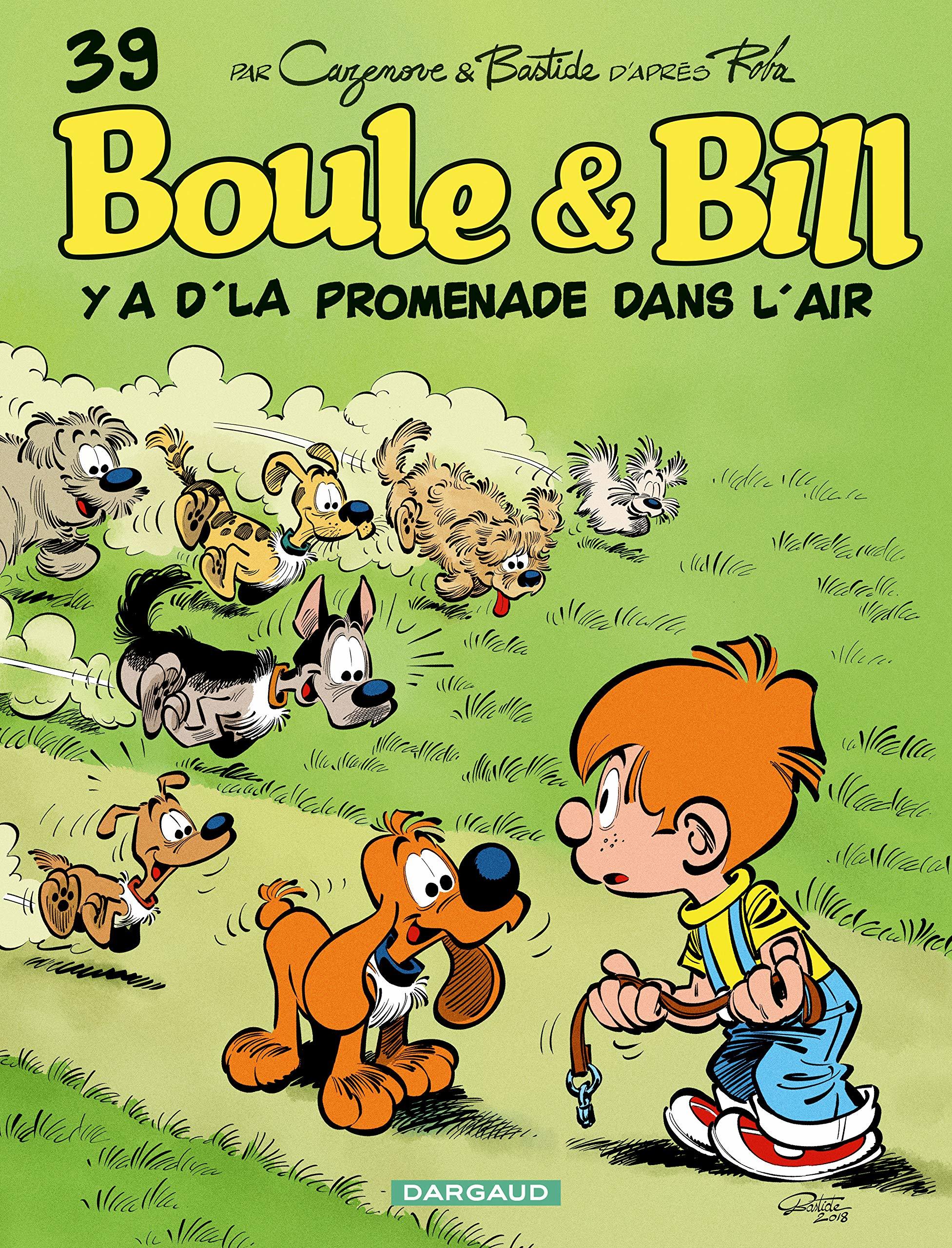Y a d'la promenade dans l'air book cover