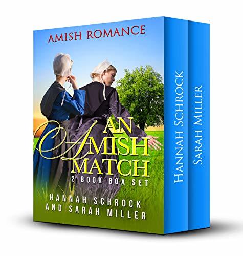 An Amish Match book cover