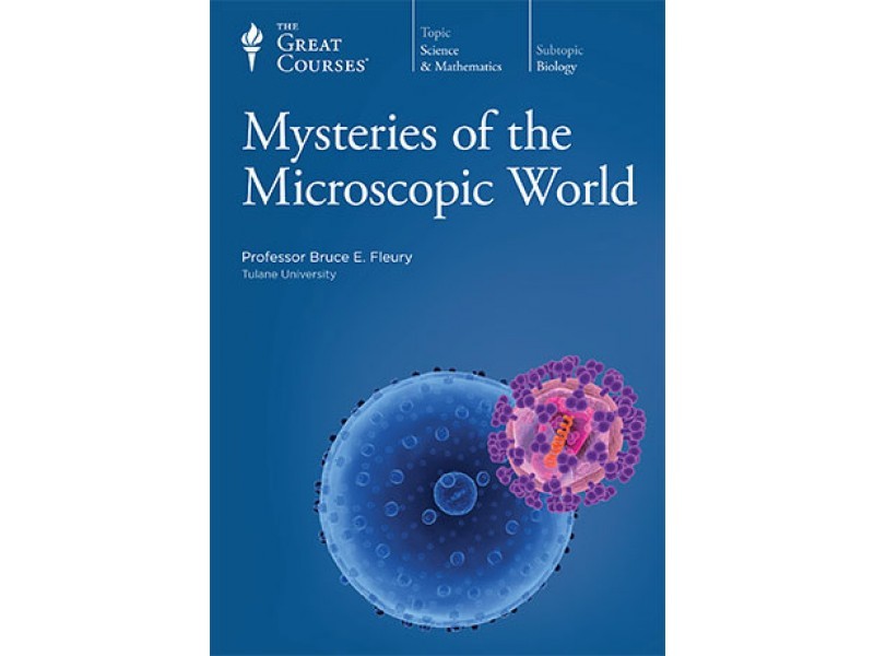 Mysteries of the Microscopic World