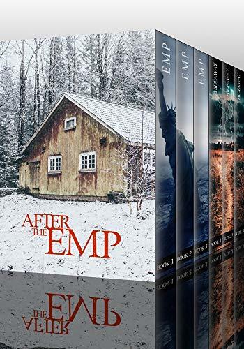 After the EMP book cover