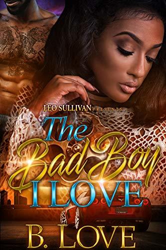 The Bad Boy I Love book cover