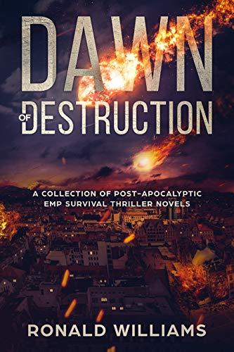 Dawn of Destruction: A Collection of Post-Apocalyptic EMP Survival ...