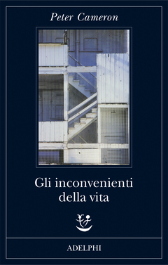 Gli inconvenienti della vita book cover