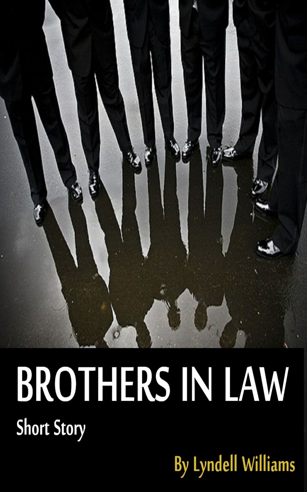 Brothers in Law book cover 1