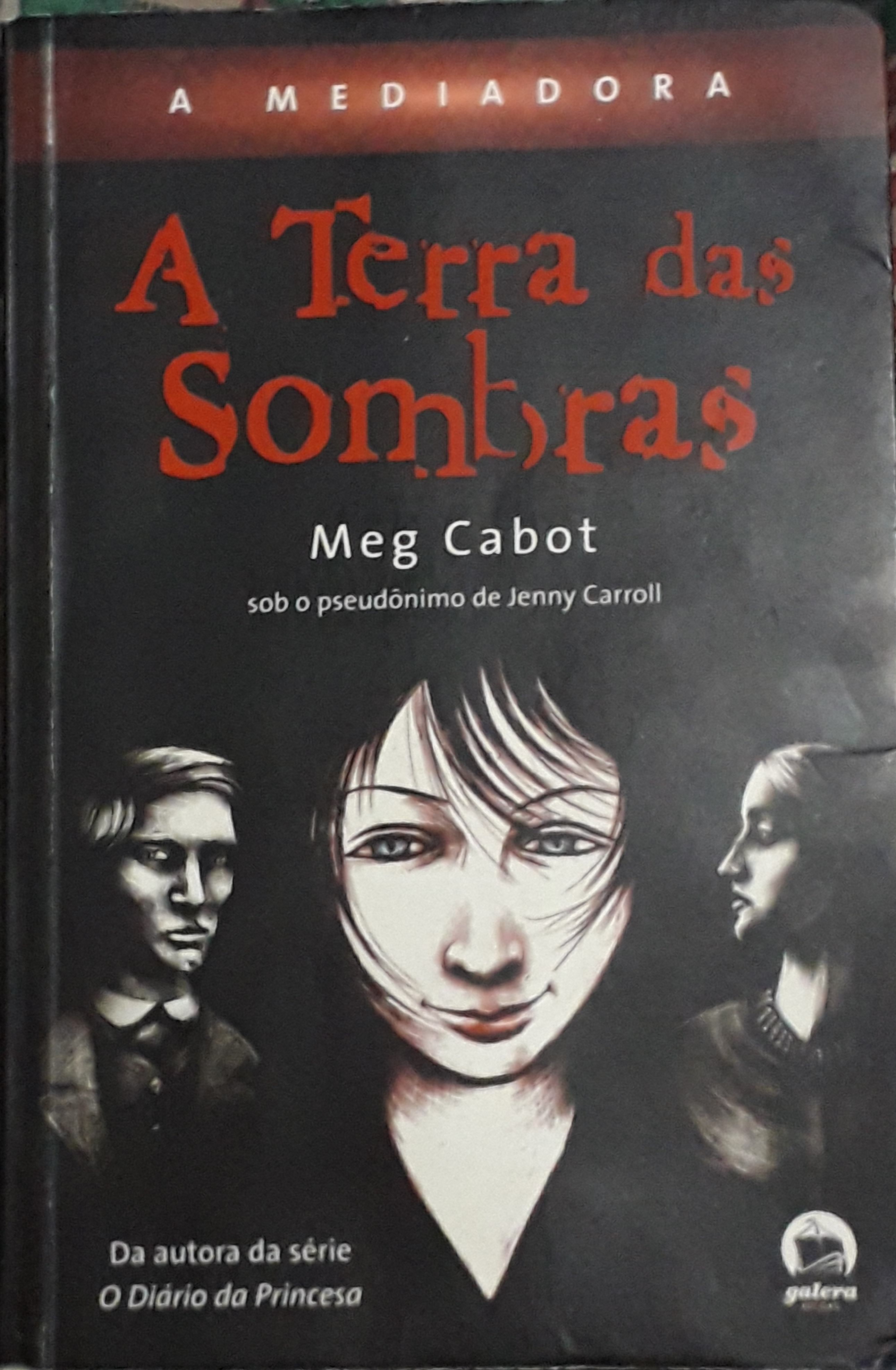 A Terra das Sombras (A Mediadora, #1) by Jenny Carroll | Goodreads