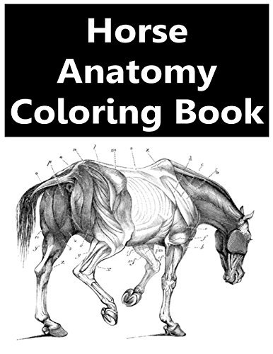 Horse Anatomy Coloring Book - Horse Anatomy Coloring Atlas by Samuel ...