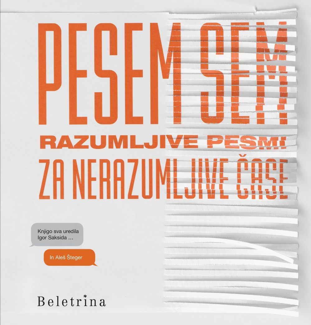 Pesem sem : razumljive pesmi za nerazumljive čase